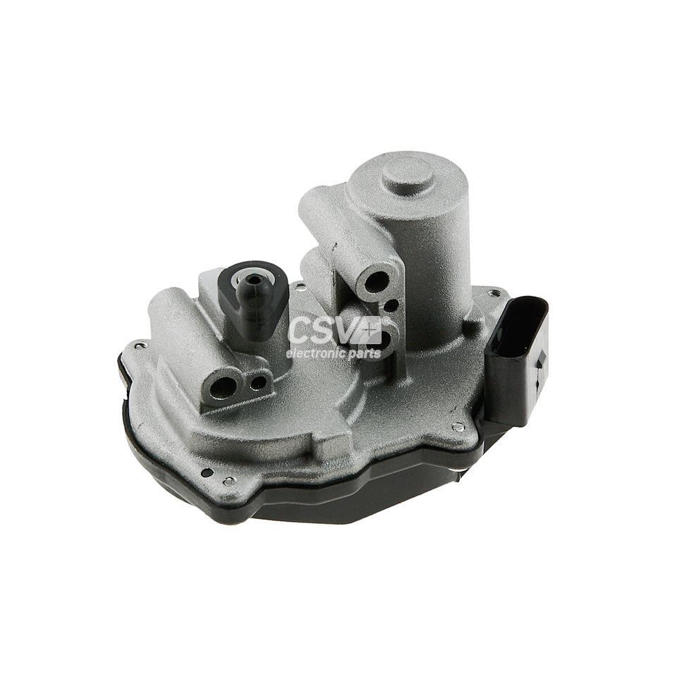 imagen (1) del producto Cuerpo De Mariposa Vag