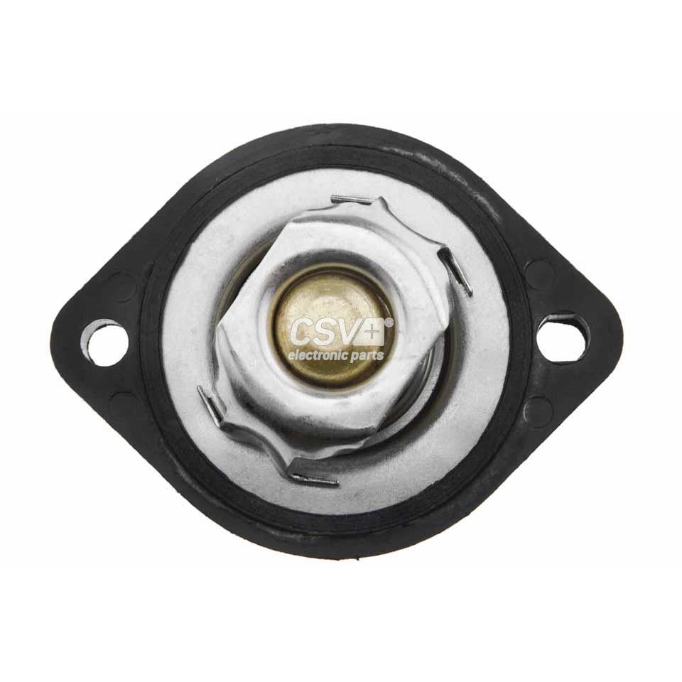 imagen (4) del producto Termostato Refrigerante