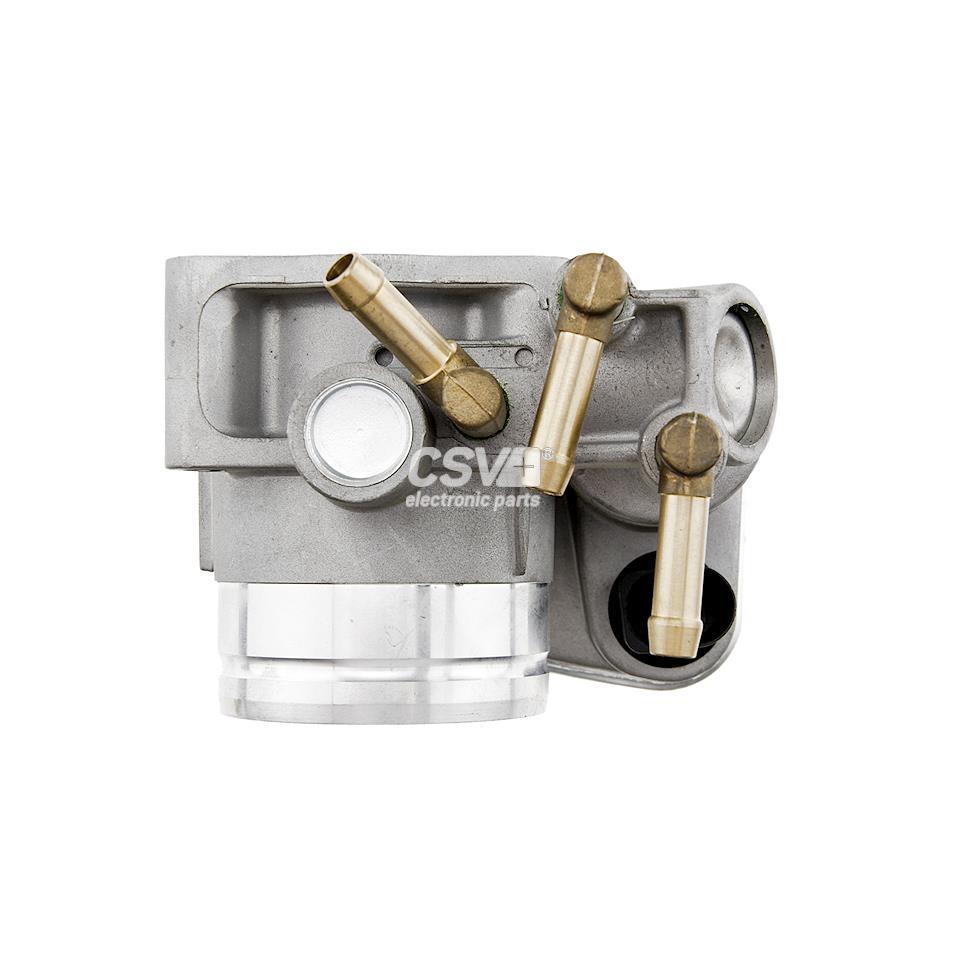 imagen (4) del producto Cuerpo De Mariposa Grupo Vag