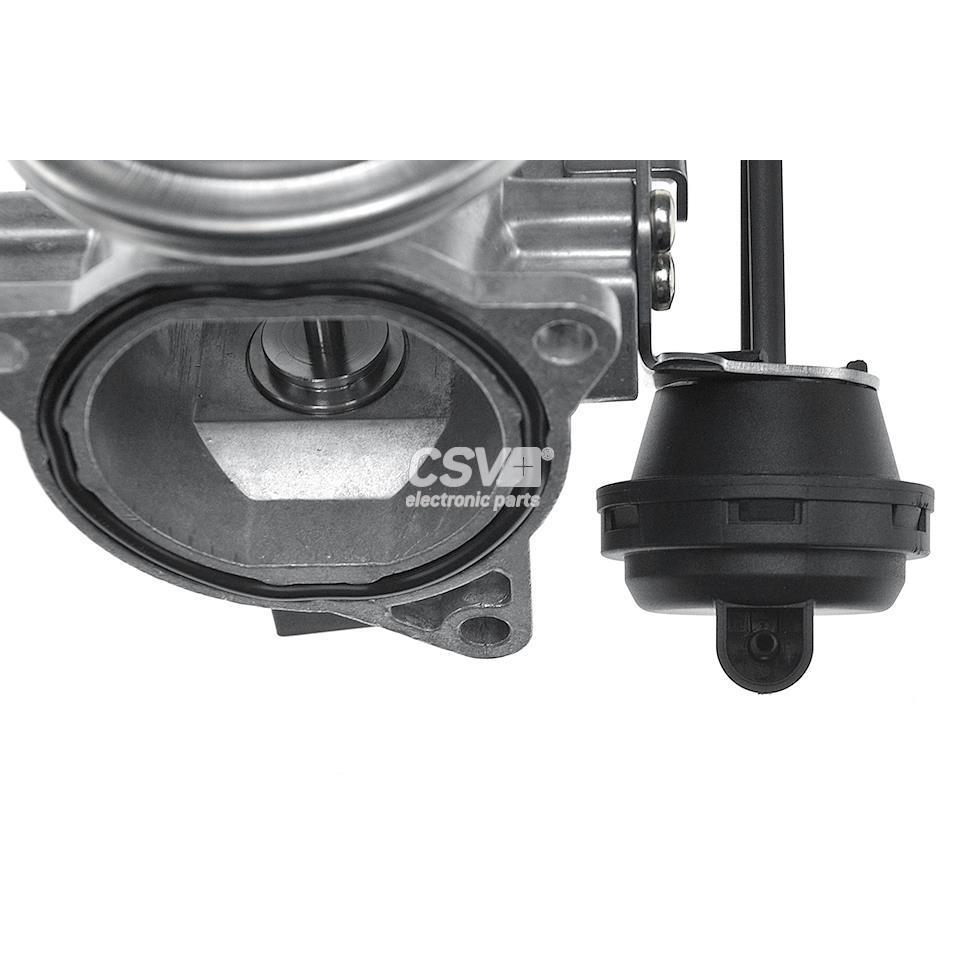 imagen (5) del producto Valvula Egr Vag