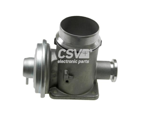 imagen (1) del producto Valvula Egr Bmw