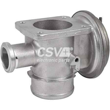 imagen (1) del producto Valvula Egr Bmw