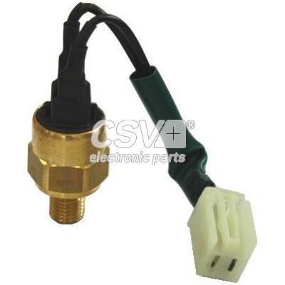 imagen (1) del producto Sensor Temperatura