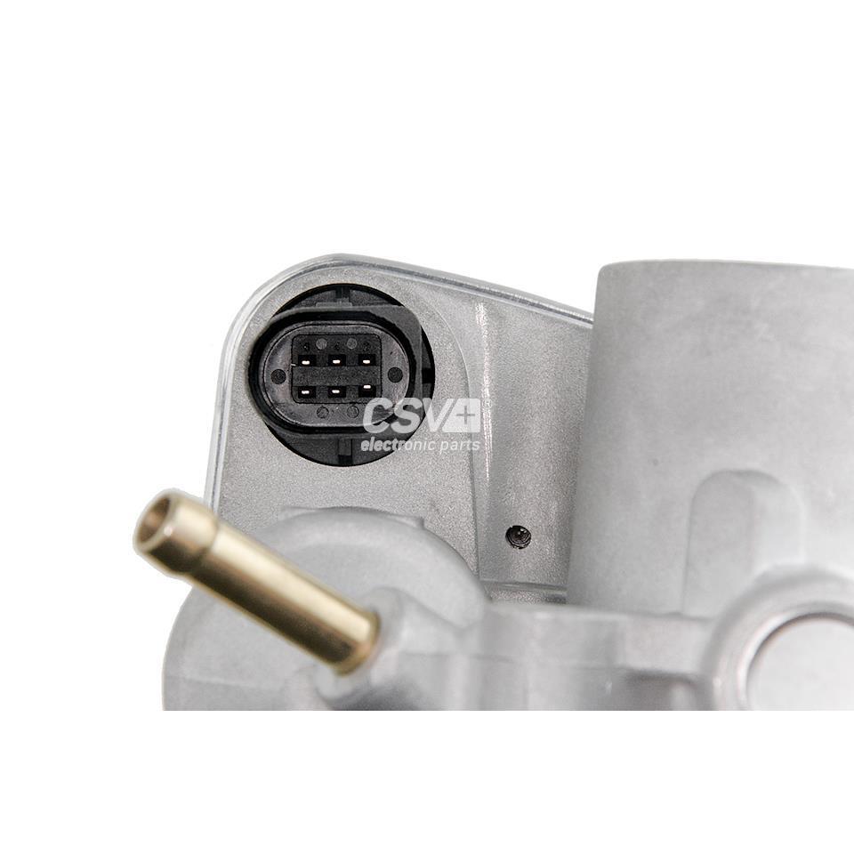 imagen (7) del producto Cuerpo Mariposa Grupo Vag