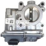 Cuerpo Mariposa Renault