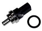 Sensor Temperatura Grupo Vag