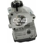 Cuerpo De Mariposa Psa