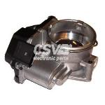 Cuerpo De Mariposa Grupo Vag