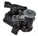 Cuerpo Mariposa Mercedes