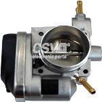 Cuerpo Mariposa Grupo Vag